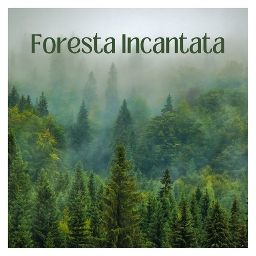 Foresta incantata cover art