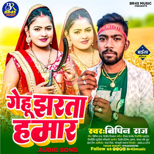 GEHU CHHARTA HAMAR