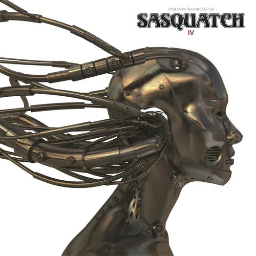 Wolves At My Door Lyrics Sasquatch Only On Jiosaavn