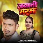 Jawani Garam