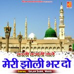 Kali Kamli Wale Meri Jholi Bhar Do