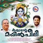 Ambaadiyil Azhakerum