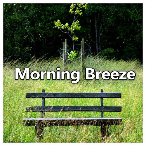 Morning Breeze – Relaxing Morning Music, Soft Sounds of Nature, Relax Yourself, Calming Songs
