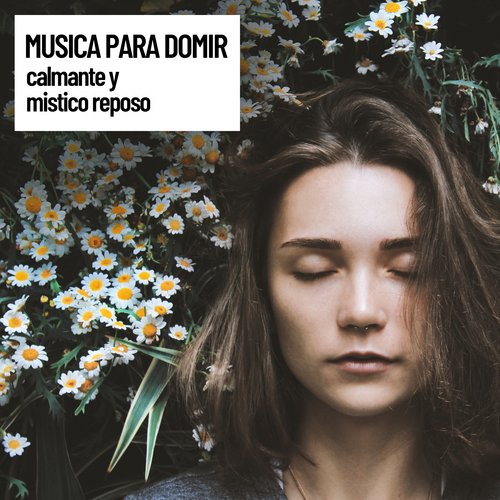 Music for Relaxed Minds cover art