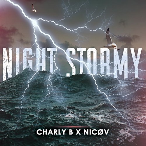 Night Stormy_poster_image