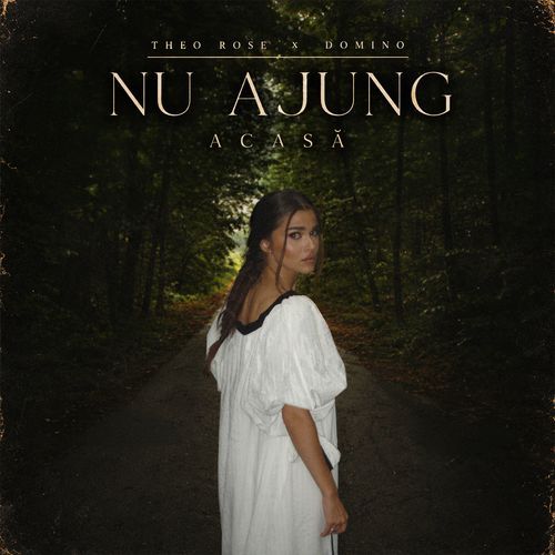 Nu ajung acasă