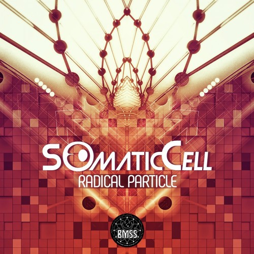 Somatic Cell