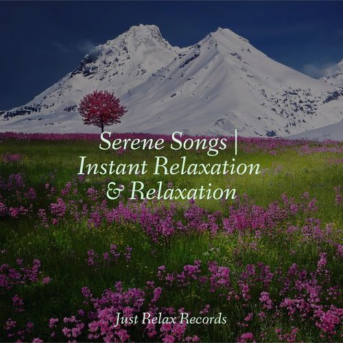 Serene Songs | Instant Relaxation & Relaxation