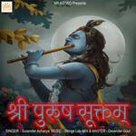 Shri Purush Suktam