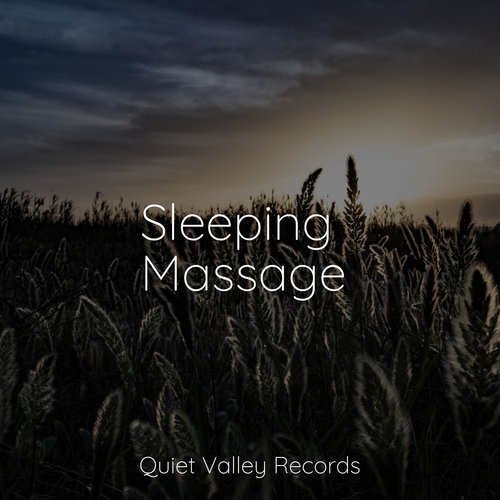 Sleeping Massage