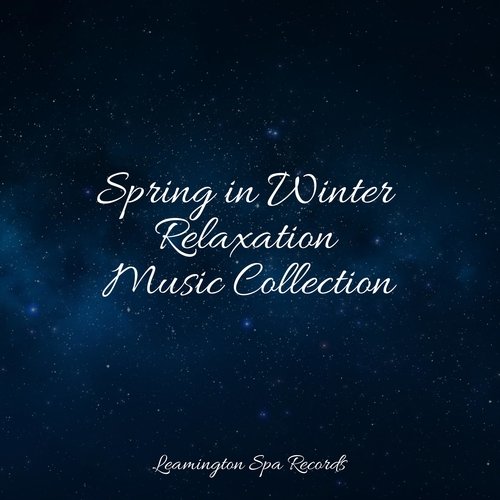 Music for Meditation cover art