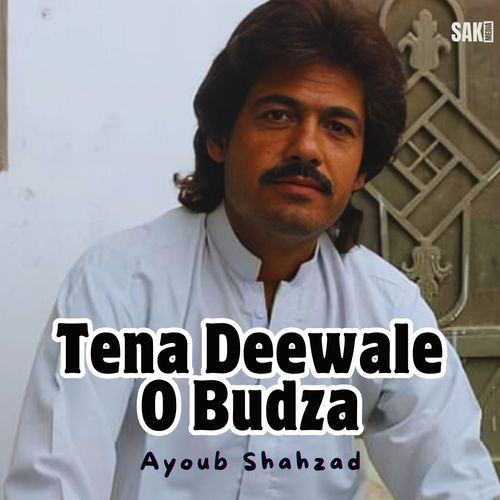 Tena Deewale O Budza