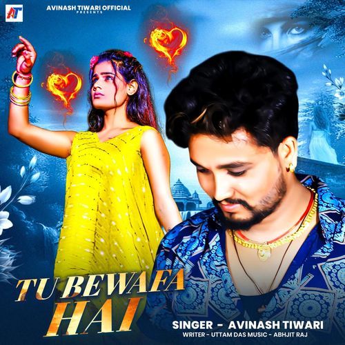Tu Bewafa Hai