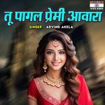 Tu Pagal Premi Awara