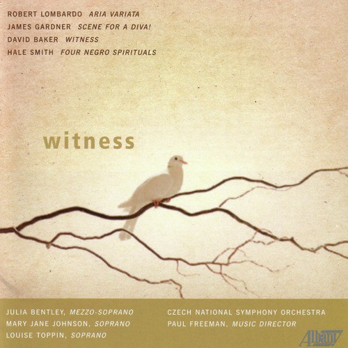 Witness_poster_image