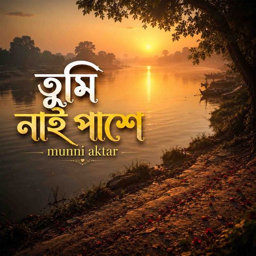 tumi nai pashe