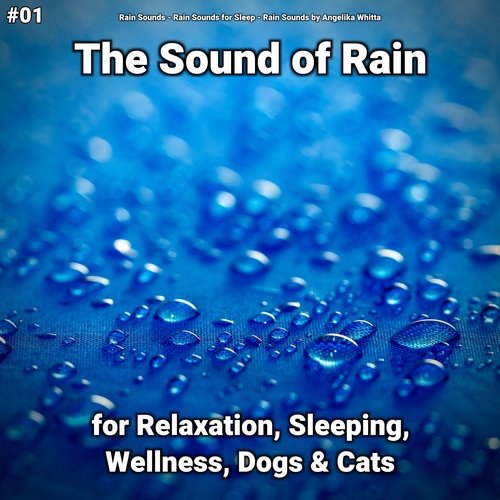 Mantra Meditation cover art