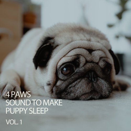 4 Paws Sound To Make Puppy Sleep Vol. 1_poster_image