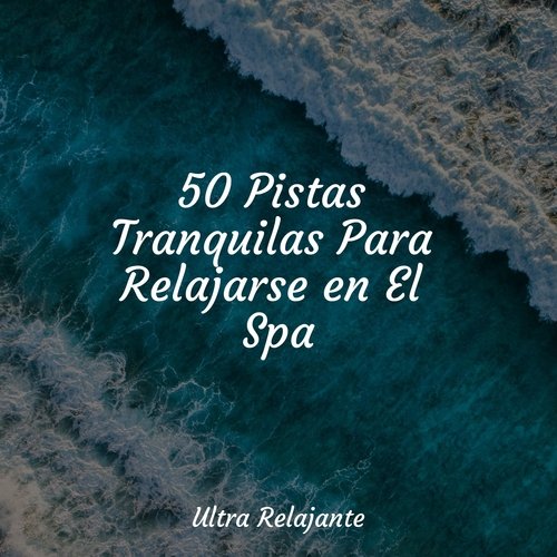 50 Pistas Tranquilas Para Relajarse en El Spa