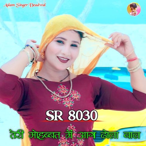 Aslam Singer SR 8030