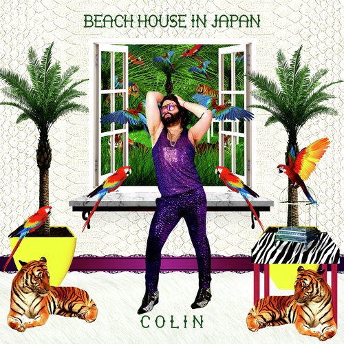 Beach House In Japan (Italo-Disco Remix) cover art
