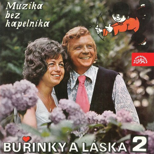 Já Tě Vábím cover art