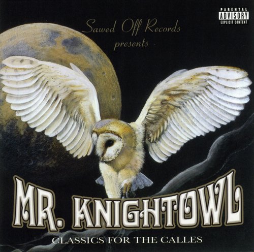 Here Comes The Knightowl cover art