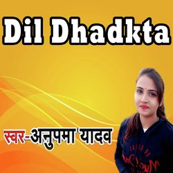 Dil Dhadkta-MwRaaEJWWks