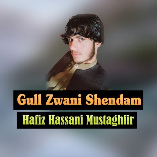 Gull Zwani Shendam