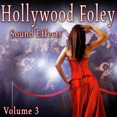 Hollywood Foley Sound Effects, Vol. 3