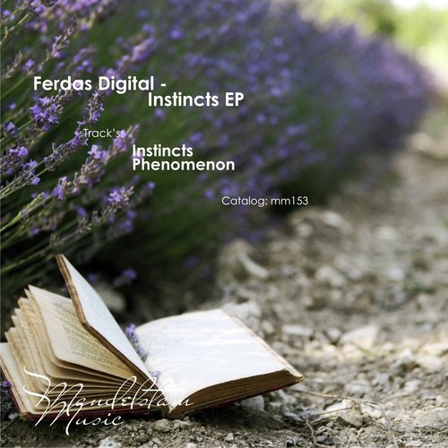 Instincts (Original Mix) cover art