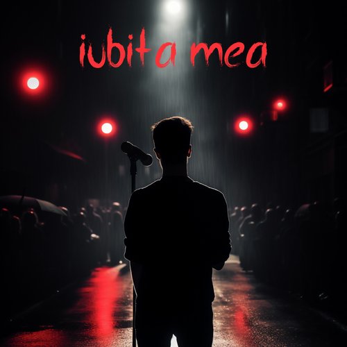 Iubita Mea_poster_image