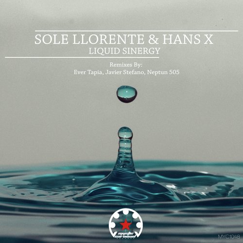 Liquid Sinergy (Ever Tapia Remix) cover art
