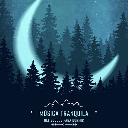 Meditación de la Naturaleza cover art