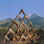 Chomi (feat. Successi, KayFass, Xan Sa &amp; Leo Moon Dj)