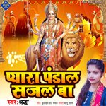 Pyara Pandal Sajal Ba (Bhojpuri)
