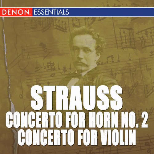 Concerto For Violin And Orchestra In D Minor, Op. 8: III. Rondo