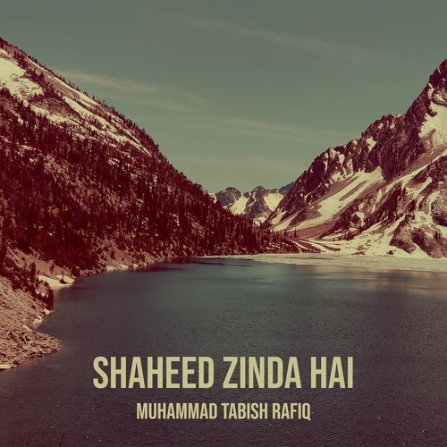 Shaheed Zinda Hai