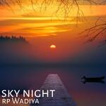 Sky Night artwork