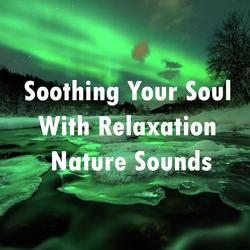  Sounds of Nature