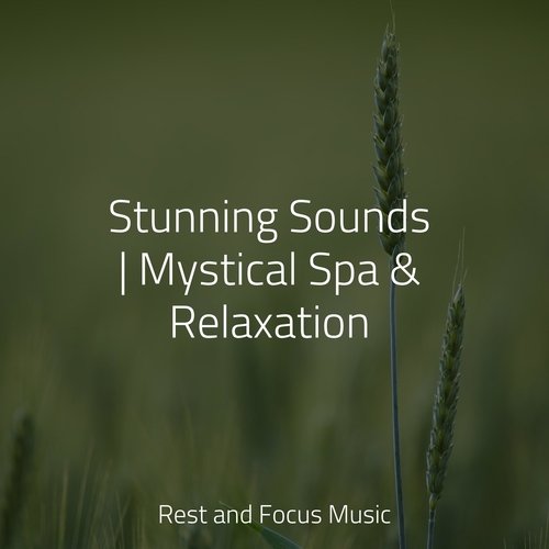 Stunning Sounds | Mystical Spa &amp; Relaxation_poster_image