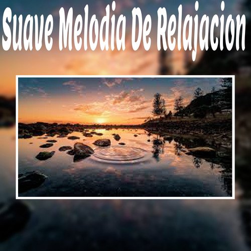 Ejercicios Simples cover art
