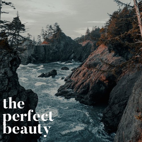 The Perfect Beauty_poster_image