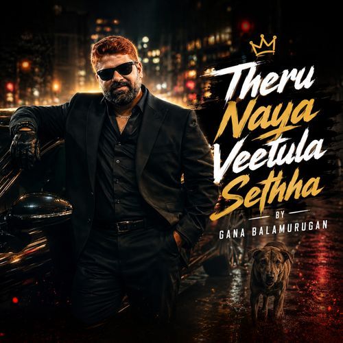 Theru Naya Veetula Sethha