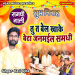 Tu Ta Bel Khake Beta Janmayil Samadhi (Samadhi Gali)