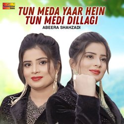 Tun Meda Yaar Hain Tun Medi Dillagi-QyoSaDhHZGY