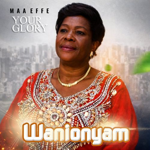 Waye Adekese cover art