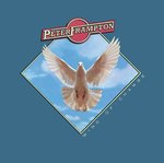 Fig Tree Bay (Album Version)