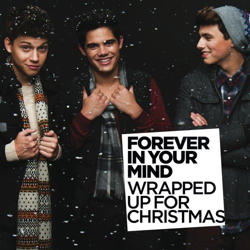 Wrapped Up for Christmas_poster_image