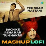Yeh Sham Mastani X Bach Ke Reha Kar Tun Nakro LoFi Mashup